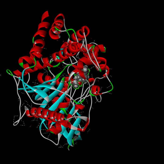 Molecular docking animation